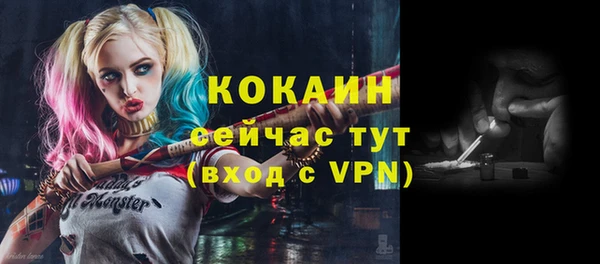 мяу мяу мука Алзамай