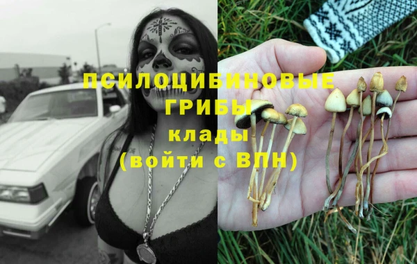 мяу мяу мука Алзамай