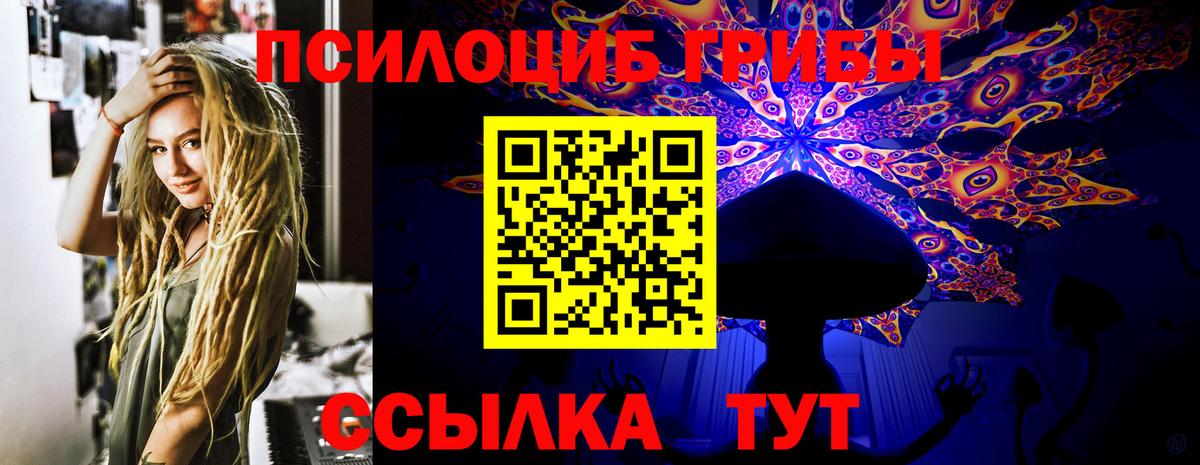 Дзержинский  Псилоцибиновые грибы Cubensis  Вход с VPN 