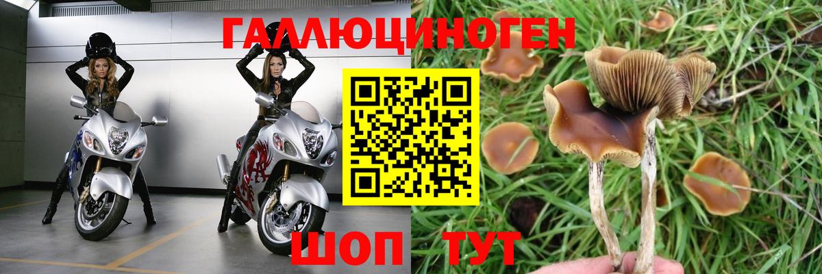 Галлюциногенные грибы MAGIC MUSHROOMS Дзержинский